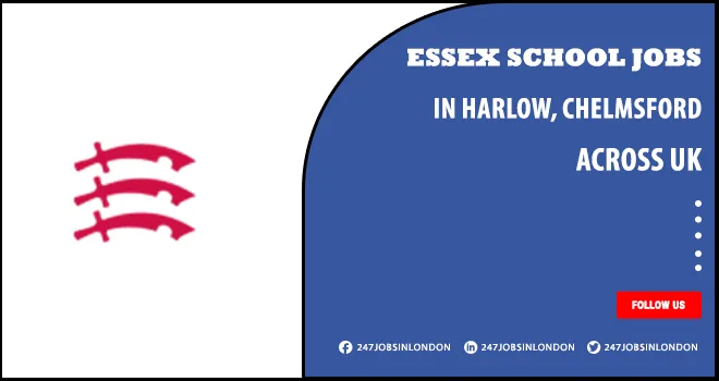 Essex School Jobs | Latest Positions Are Available For Professionals Essex School Jobs