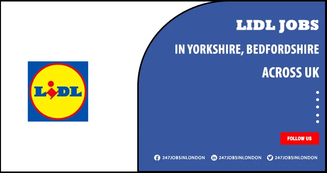 Lidl Jobs Is Currently Open For Professionals | Apply Online Lidl Jobs