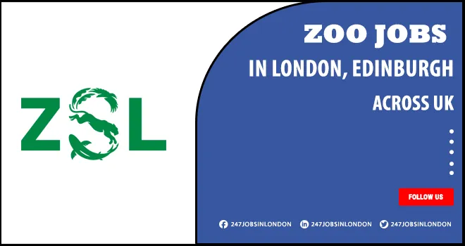 Zoo Jobs Is Currently Open For Freshers | Apply Online Zoo Jobs