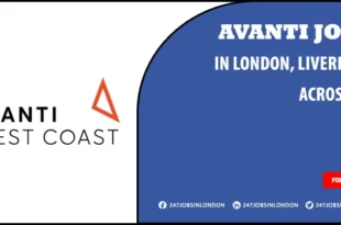 Avanti Jobs
